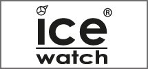Black Ice watch logo on a white background