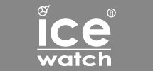 White Ice-Watch logo on a grey background