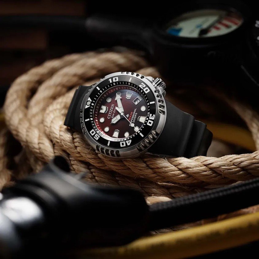 Citizen Promaster dive watch